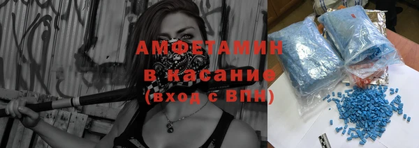 индика Гусев