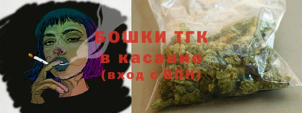 тгк Гусь-Хрустальный