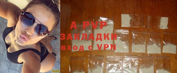 индика Гусев