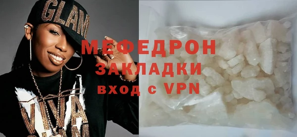 индика Гусев