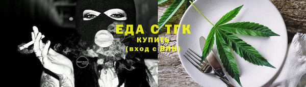 индика Гусев