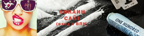 индика Гусев