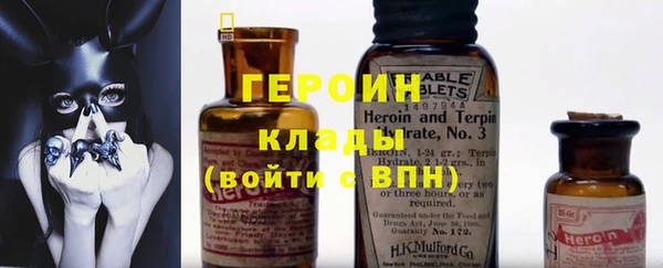 индика Гусев