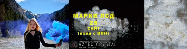 индика Гусев
