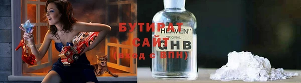 индика Гусев