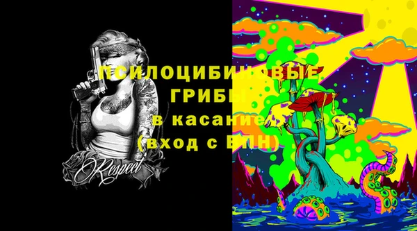 индика Гусев