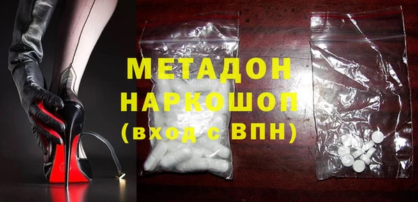 индика Гусев