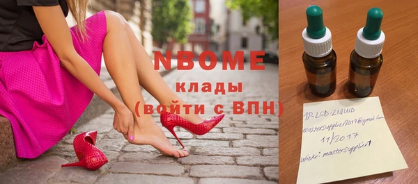 индика Гусев