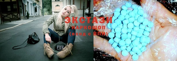 индика Гусев