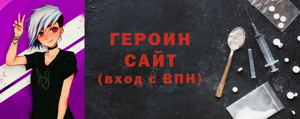 индика Гусев