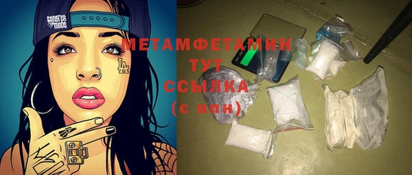 индика Гусев