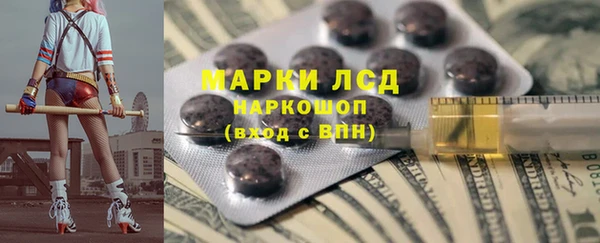 индика Гусев